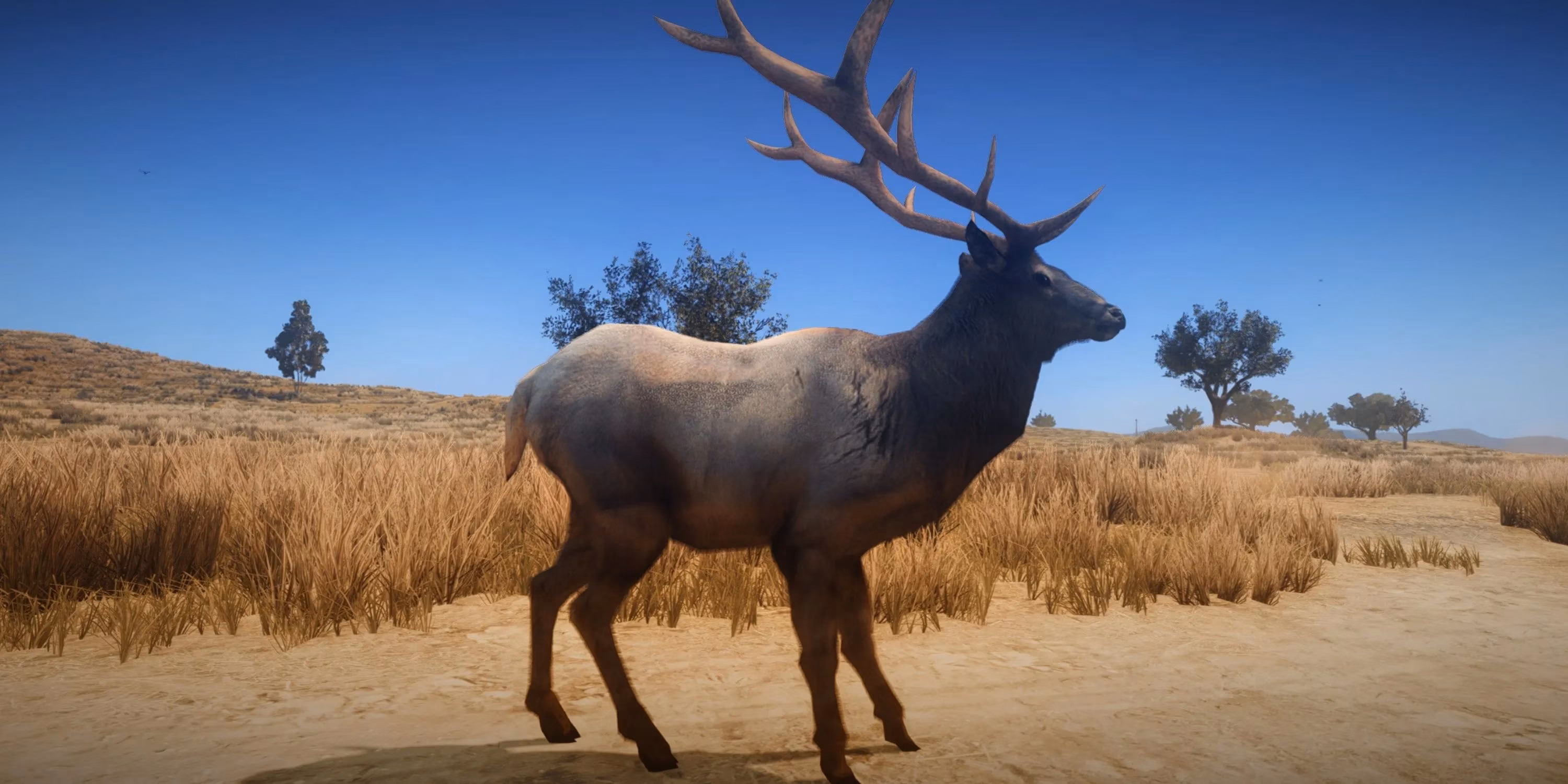 mastering-red-dead-redemption-s-master-hunter-challenges-my-complete-2025-guide-image-3