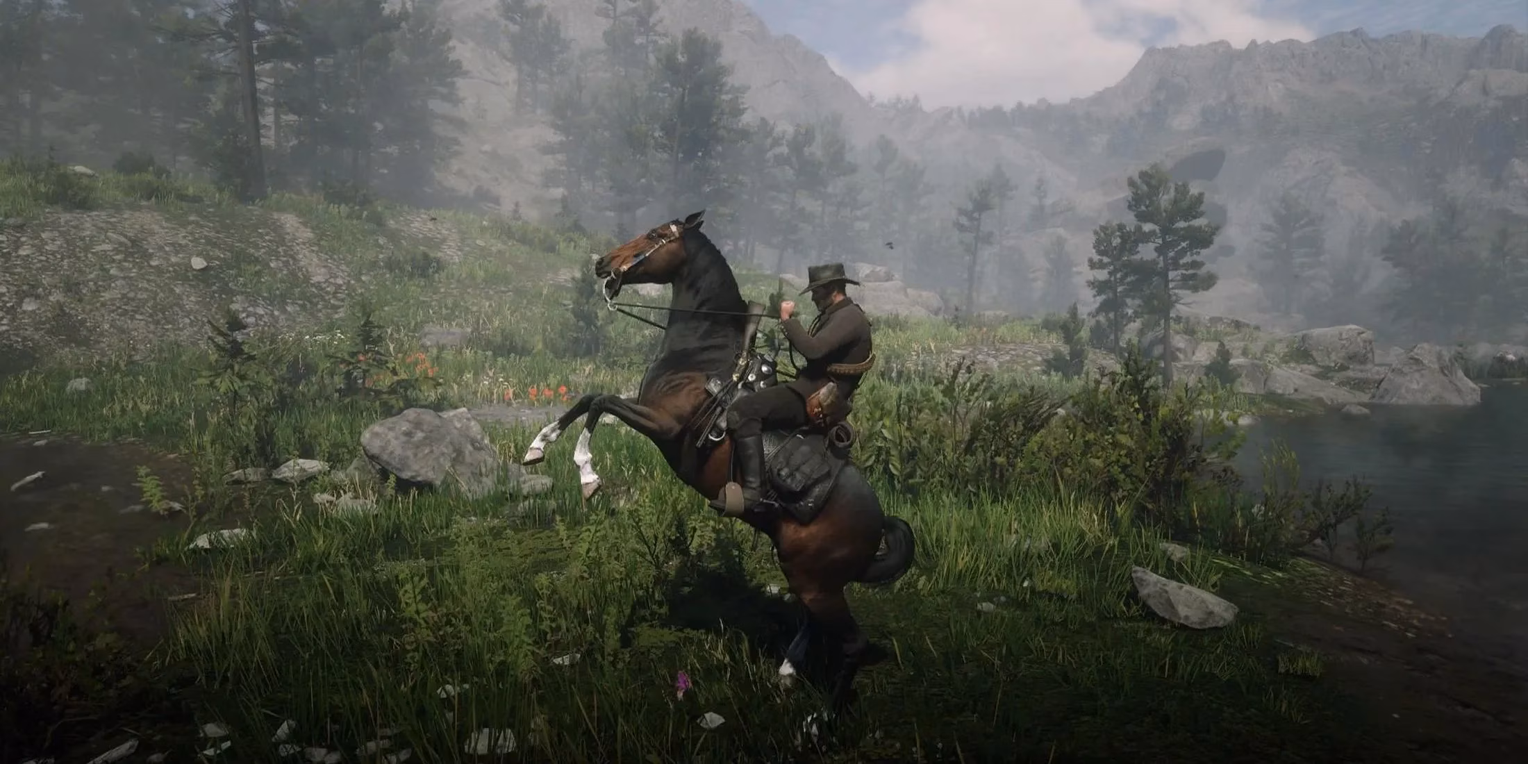 six-years-later-i-just-found-bees-in-red-dead-redemption-2-and-i-m-shocked-image-0